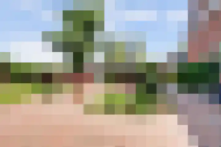 Graafsedijk 18 Vianen NB thumbnail 55