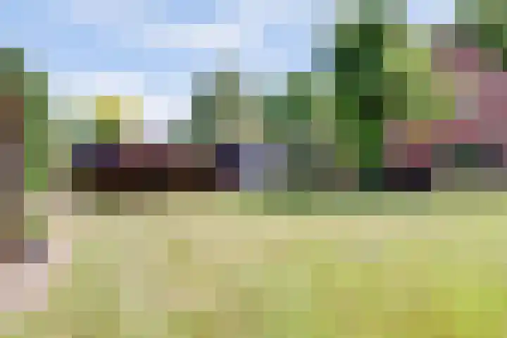 Graafsedijk 18 Vianen NB thumbnail 57