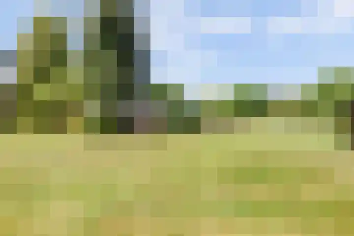 Graafsedijk 18 Vianen NB thumbnail 58