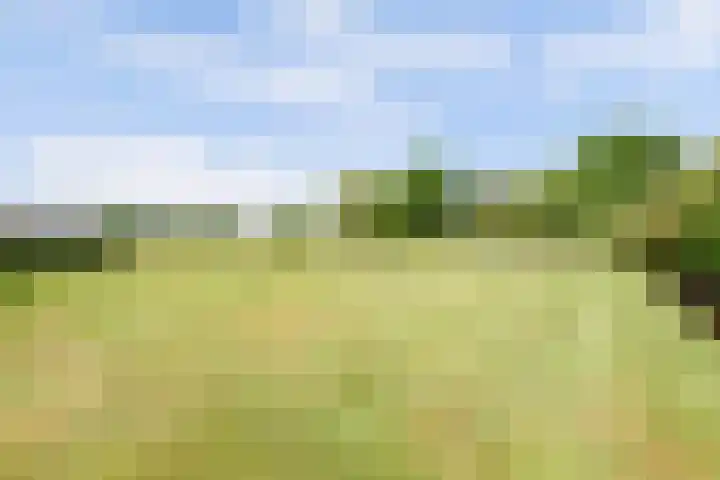 Graafsedijk 18 Vianen NB thumbnail 59