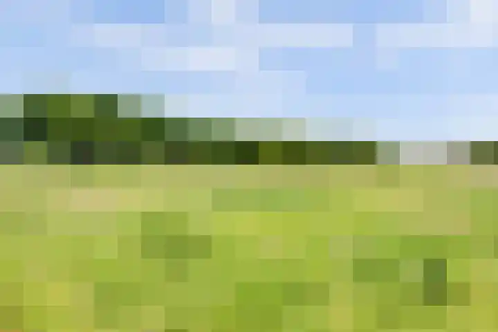Graafsedijk 18 Vianen NB thumbnail 61
