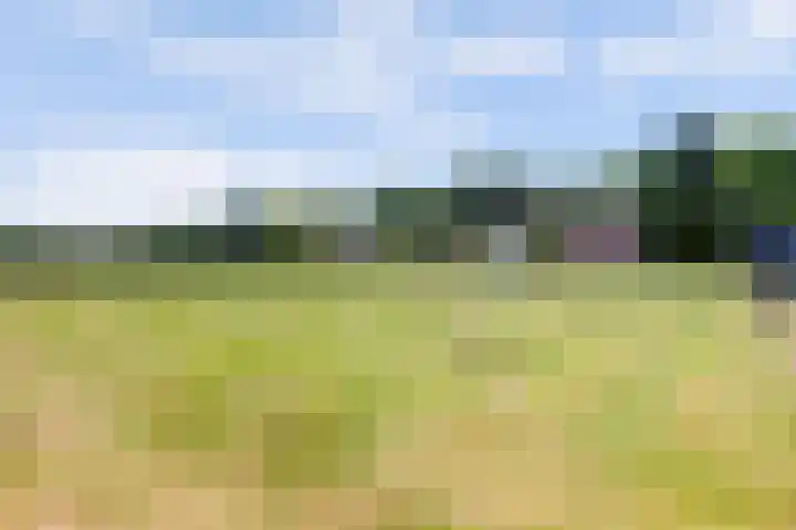 Graafsedijk 18 Vianen NB thumbnail 62