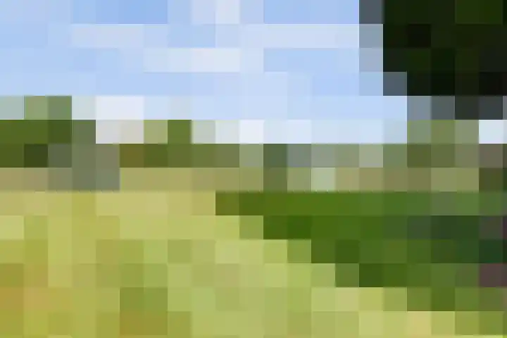 Graafsedijk 18 Vianen NB thumbnail 63