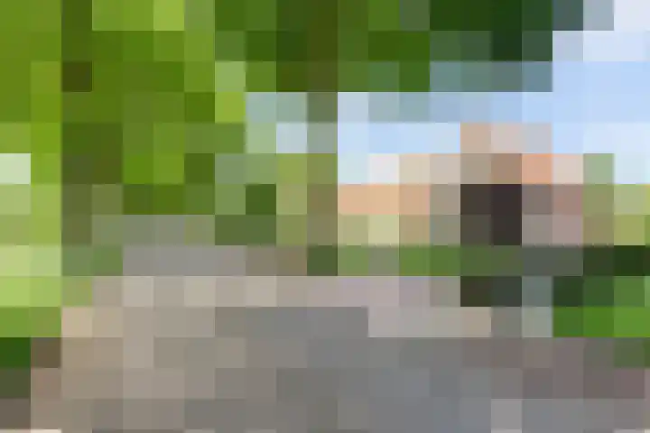 Graafsedijk 18 Vianen NB thumbnail 7