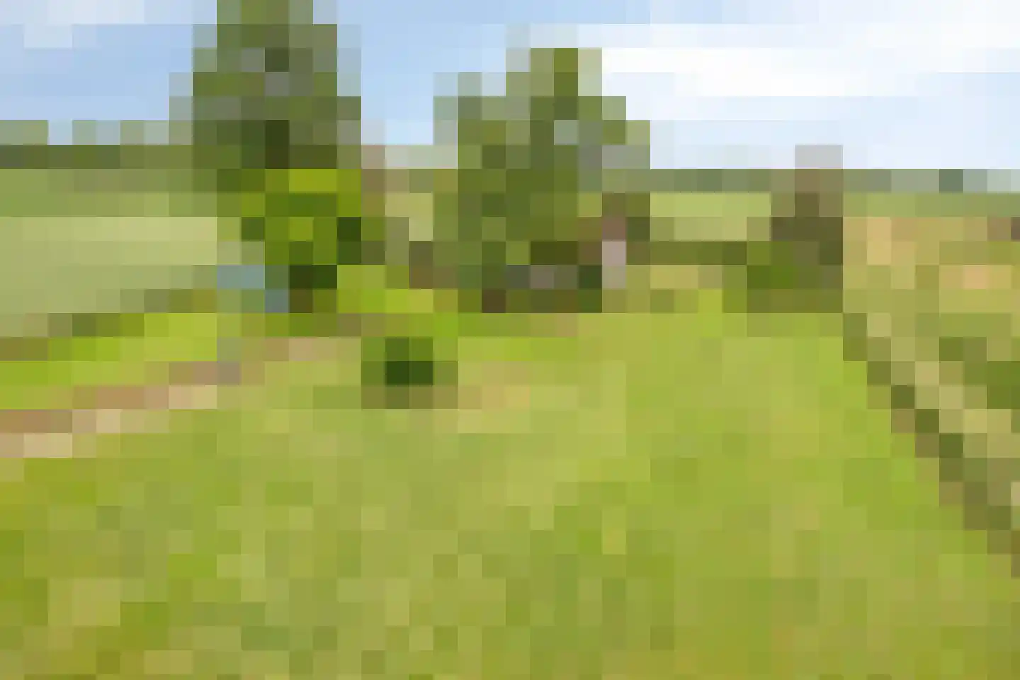 Graafsedijk 23 Beugen thumbnail 23