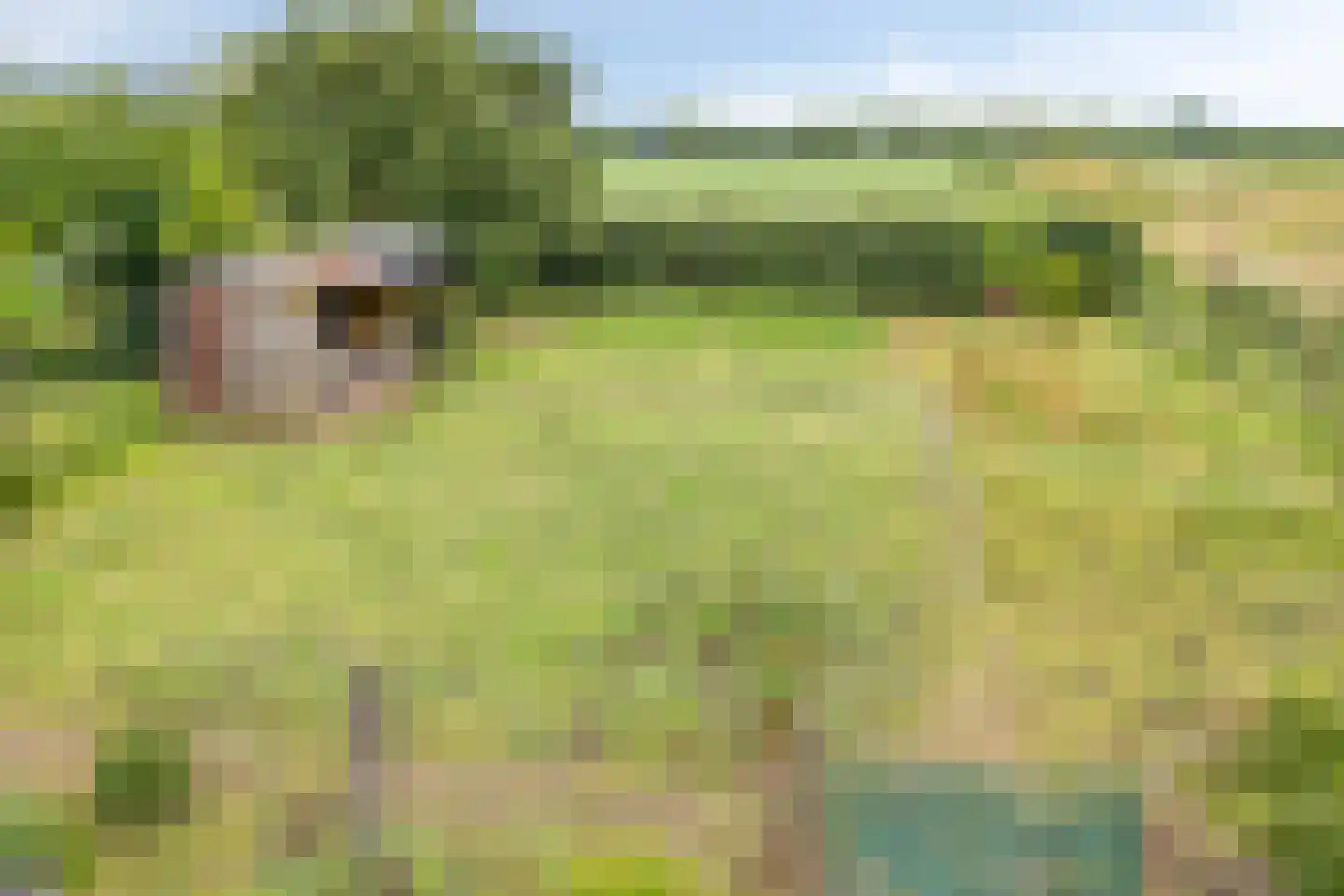 Graafsedijk 23 Beugen thumbnail 25