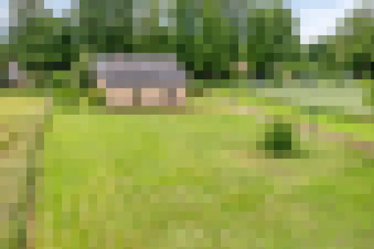 Graafsedijk 23 Beugen thumbnail 27