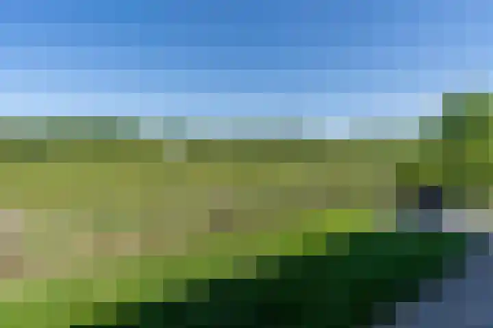 Graafsedijk 29 Beugen thumbnail 22