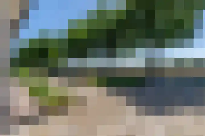 Graafsedijk 29 Beugen thumbnail 4