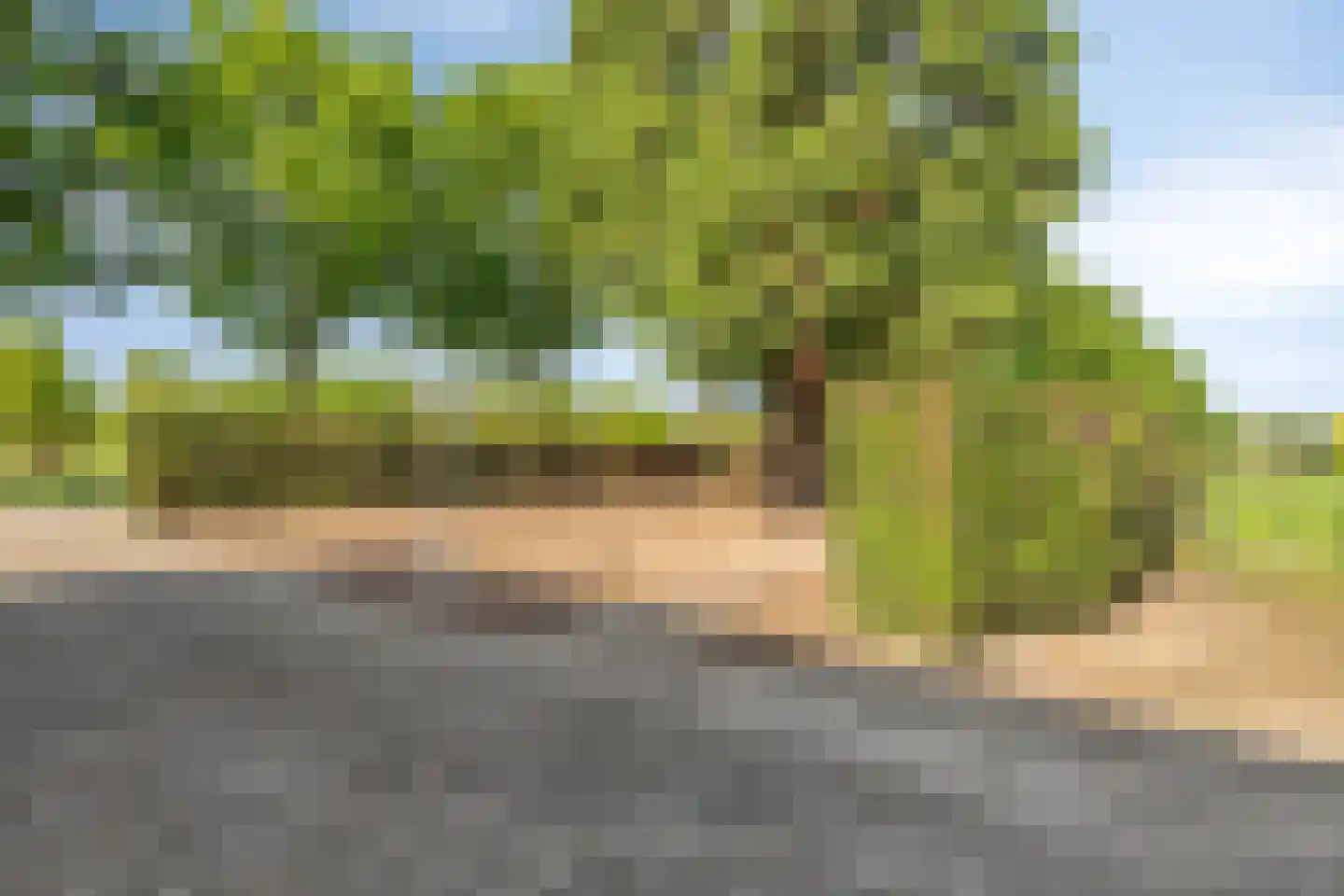 Graafsedijk 6 Vianen NB thumbnail 32