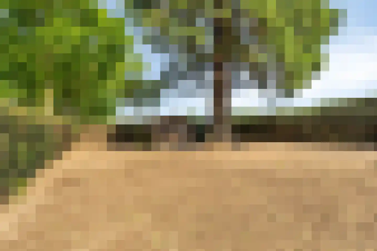 Graafsedijk 6 Vianen NB thumbnail 33