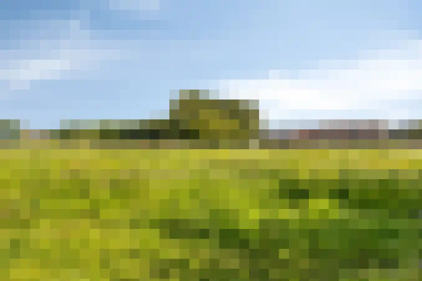 Graafsedijk 6 Vianen NB thumbnail 34
