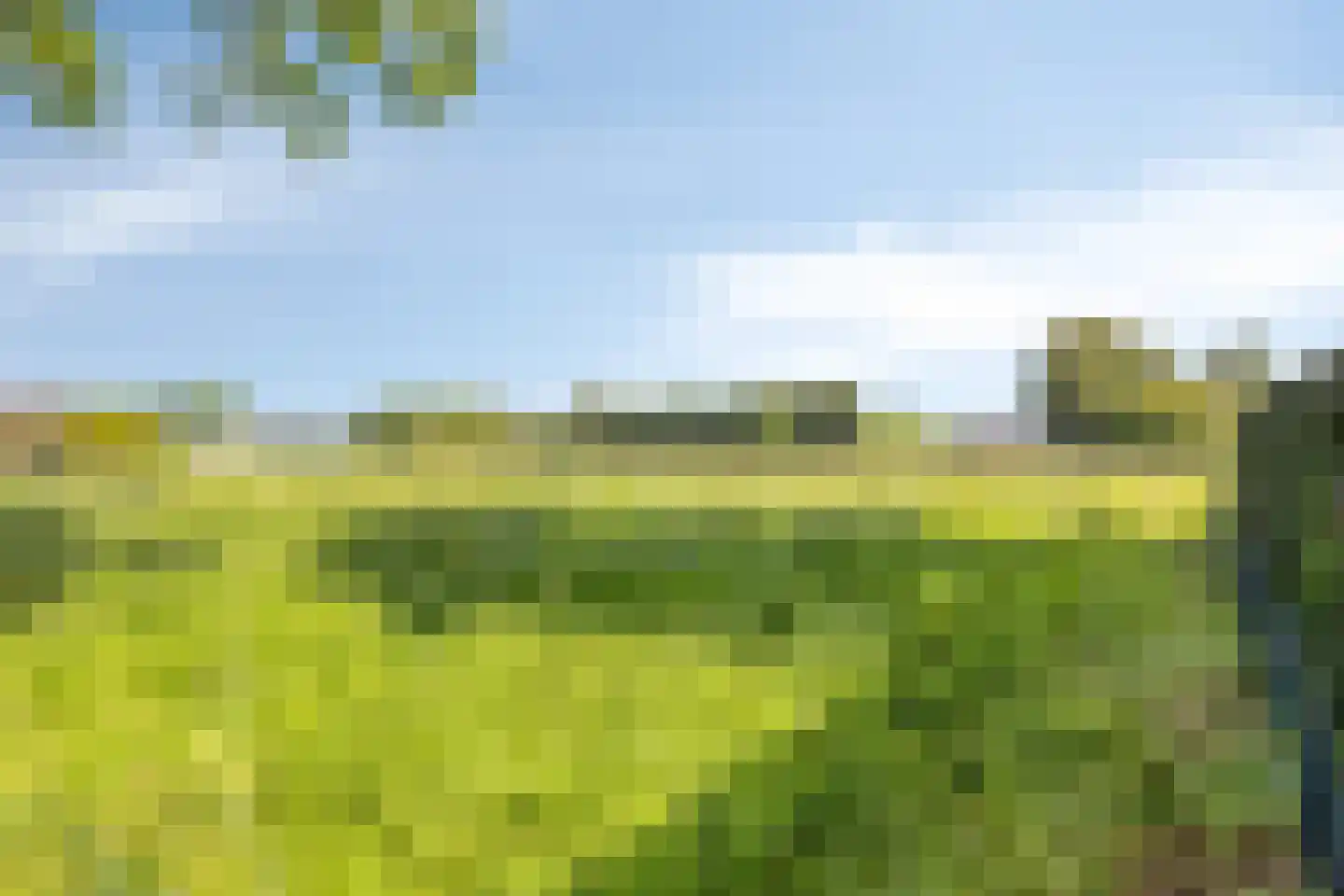 Graafsedijk 6 Vianen NB thumbnail 35