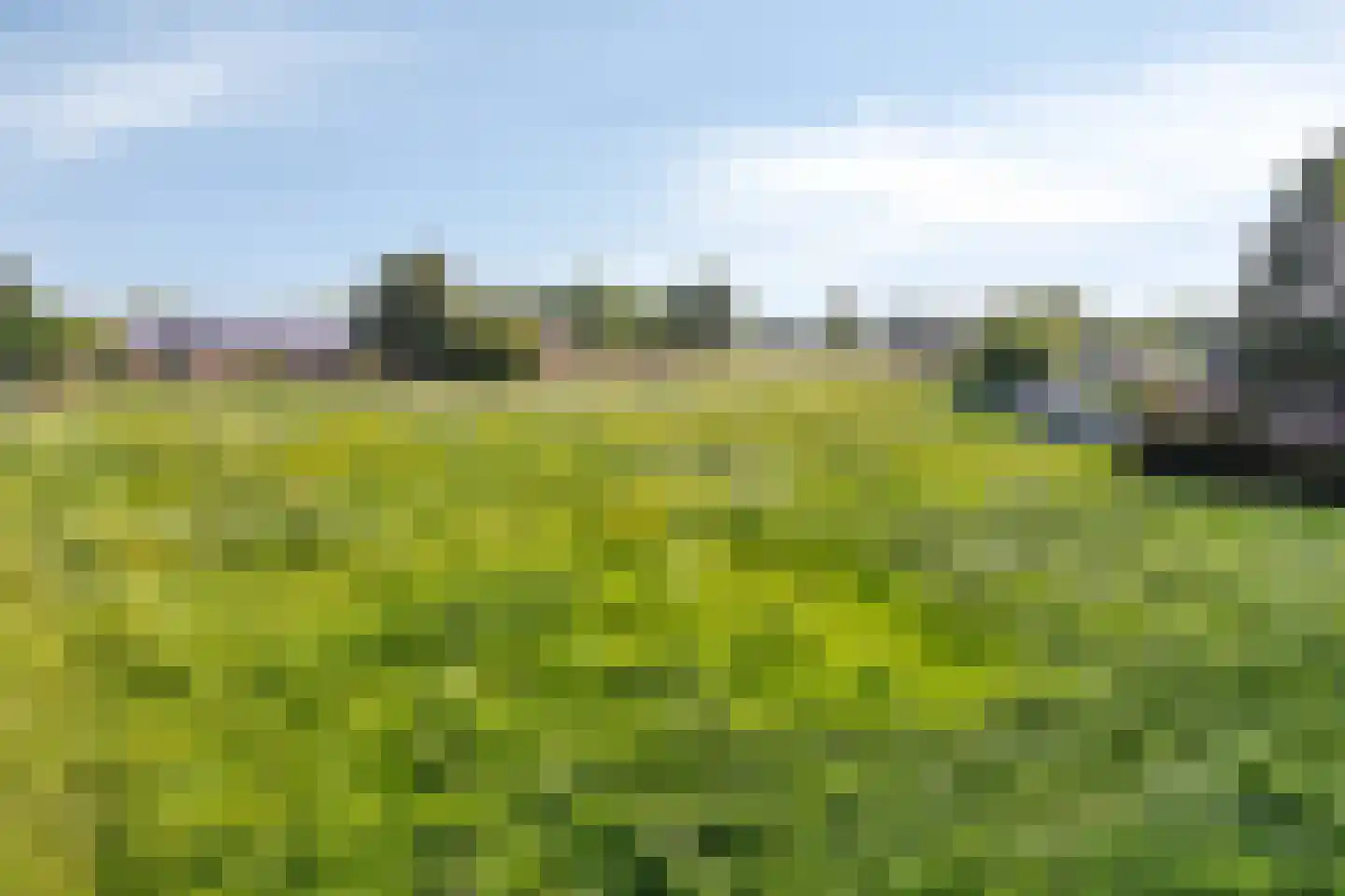 Graafsedijk 6 Vianen NB thumbnail 36