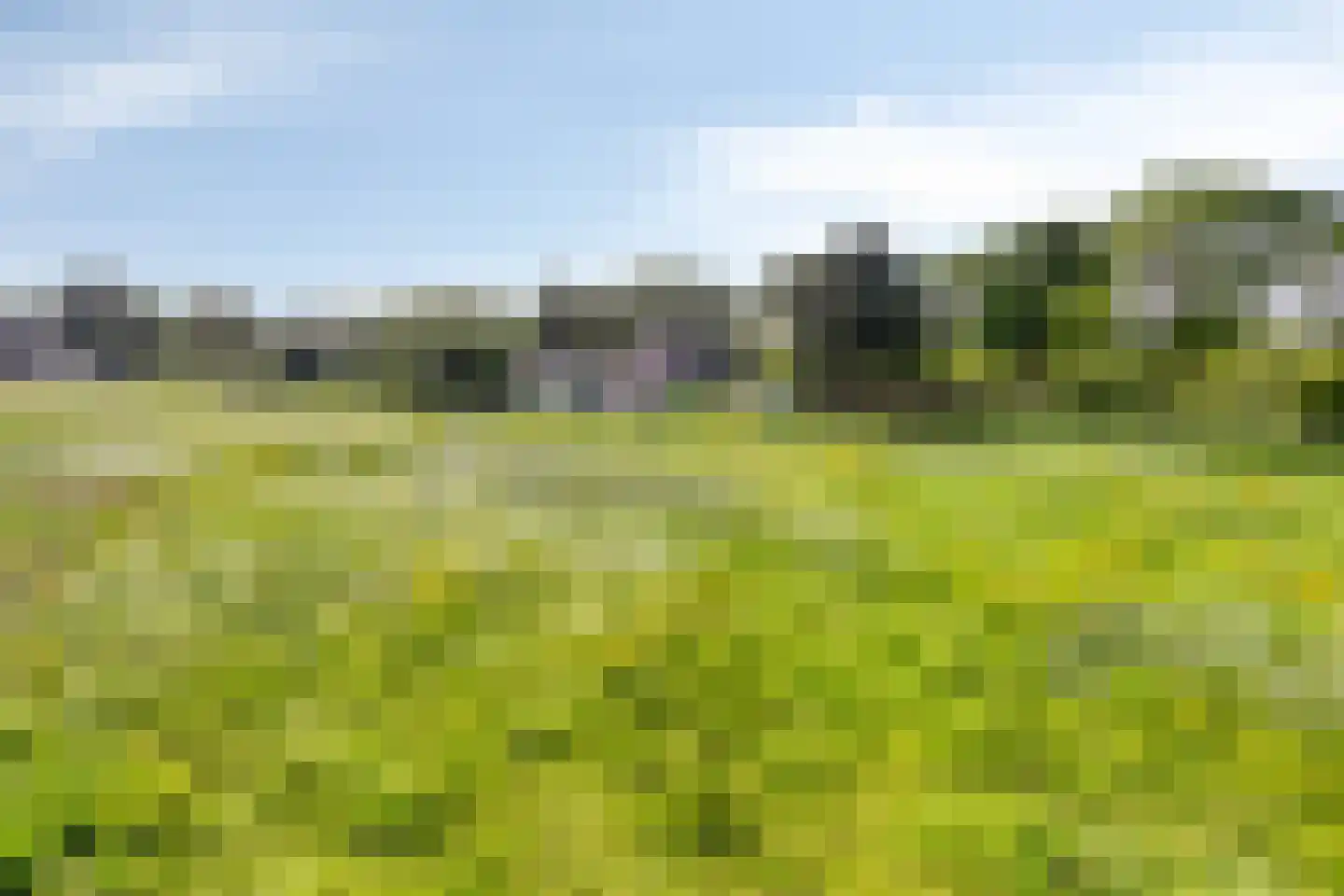 Graafsedijk 6 Vianen NB thumbnail 37