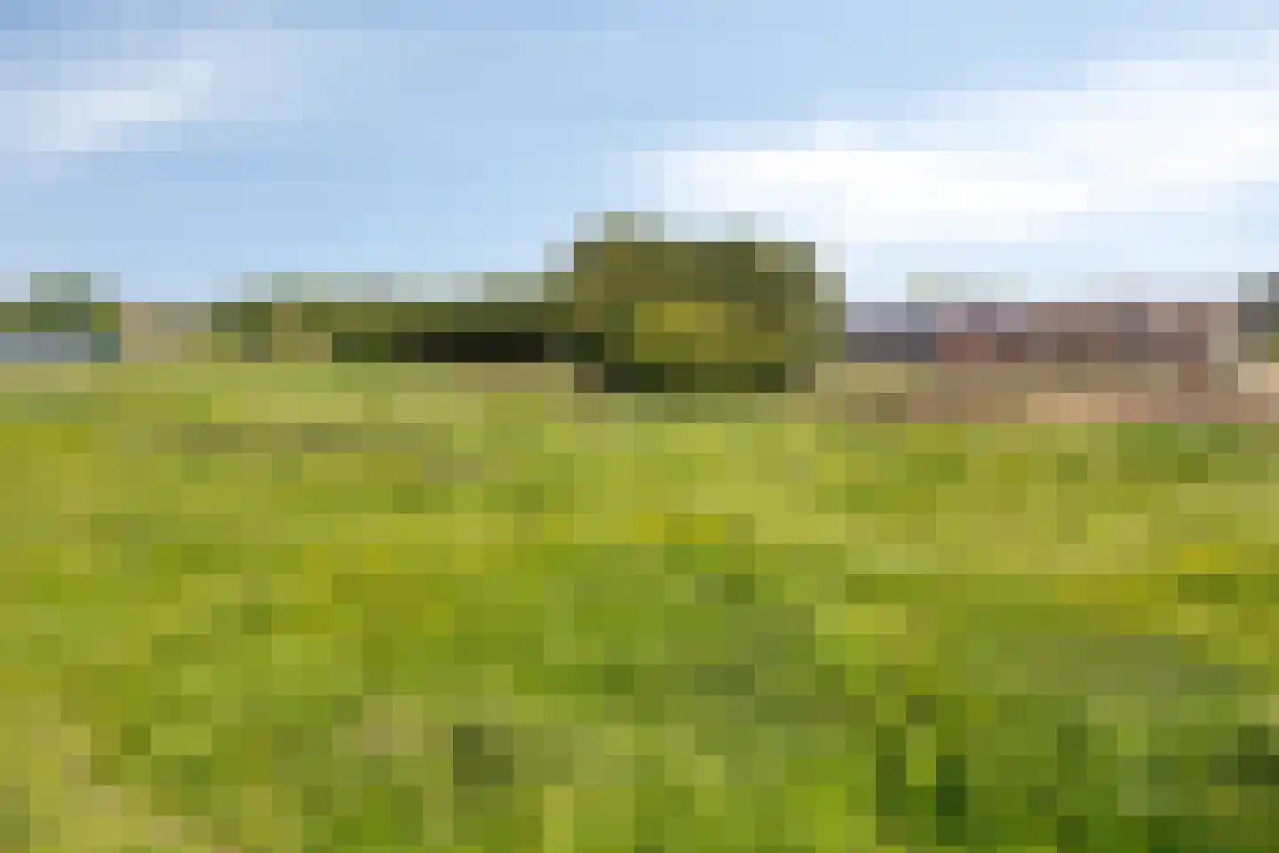 Graafsedijk 6 Vianen NB thumbnail 38