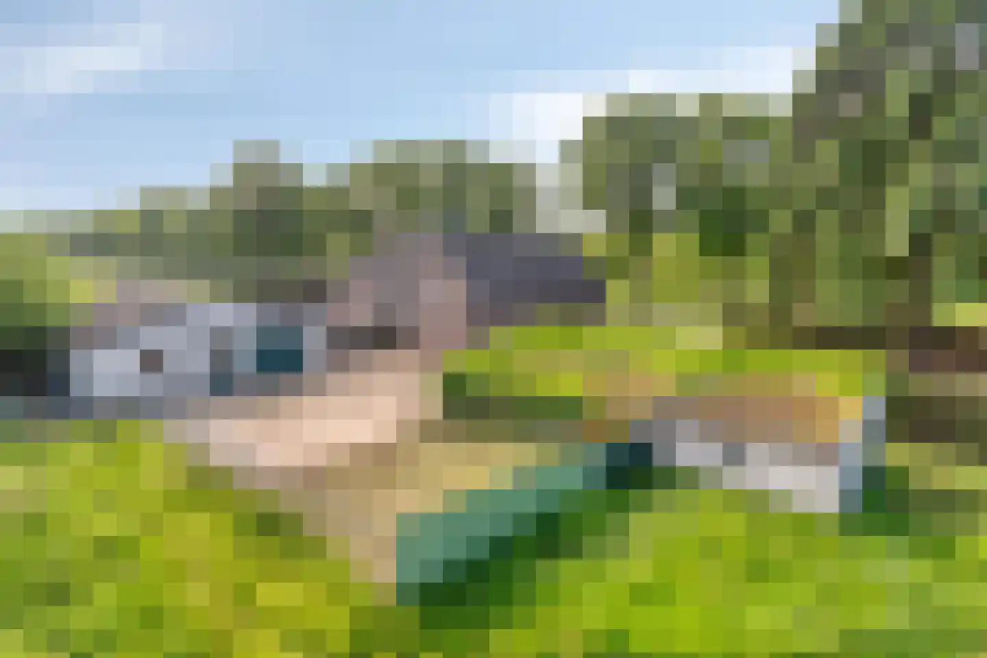 Graafsedijk 6 Vianen NB thumbnail 39