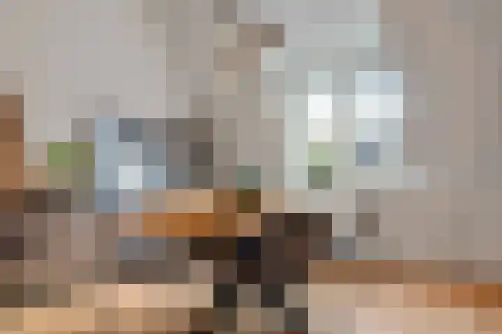 Graafsedwarsstraat 65 Nijmegen thumbnail 7
