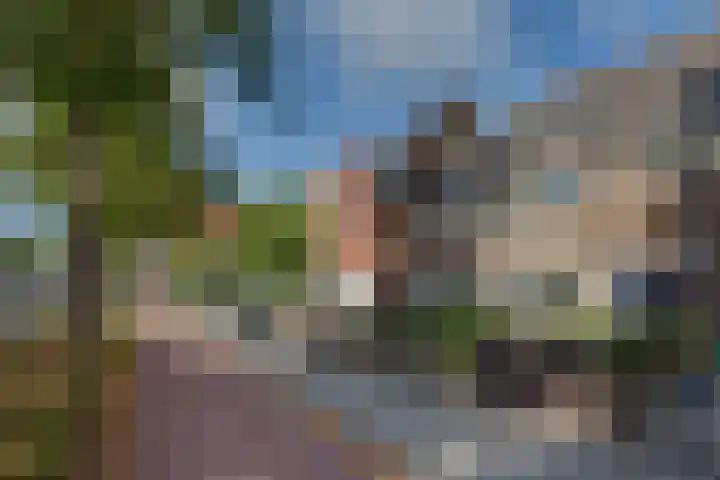 Graafseweg 134 's-Hertogenbosch thumbnail 27
