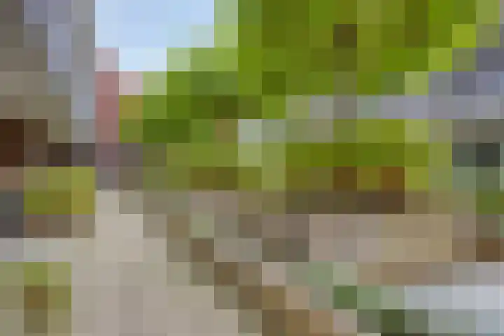 Graafseweg 14 A 's-Hertogenbosch thumbnail 16