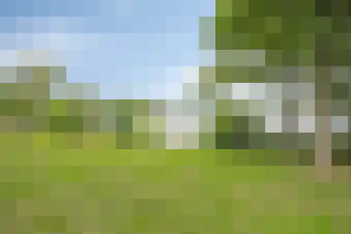 Graafseweg 14 A 's-Hertogenbosch thumbnail 21