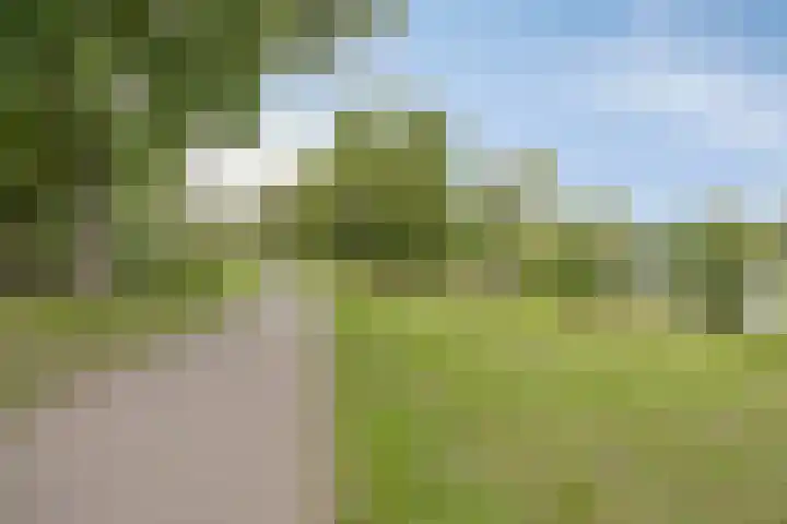 Graafseweg 14 A 's-Hertogenbosch thumbnail 22