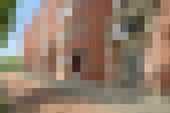 Graafseweg 14 D 's-Hertogenbosch thumbnail 15