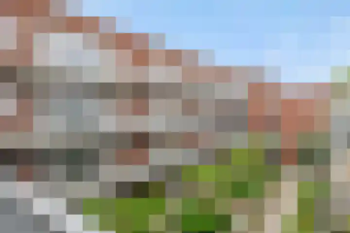 Graafseweg 14 D 's-Hertogenbosch thumbnail 4