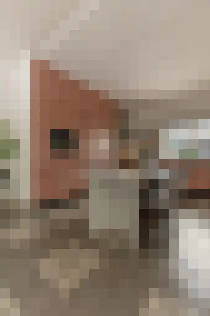 Graafseweg 149 's-Hertogenbosch thumbnail 38
