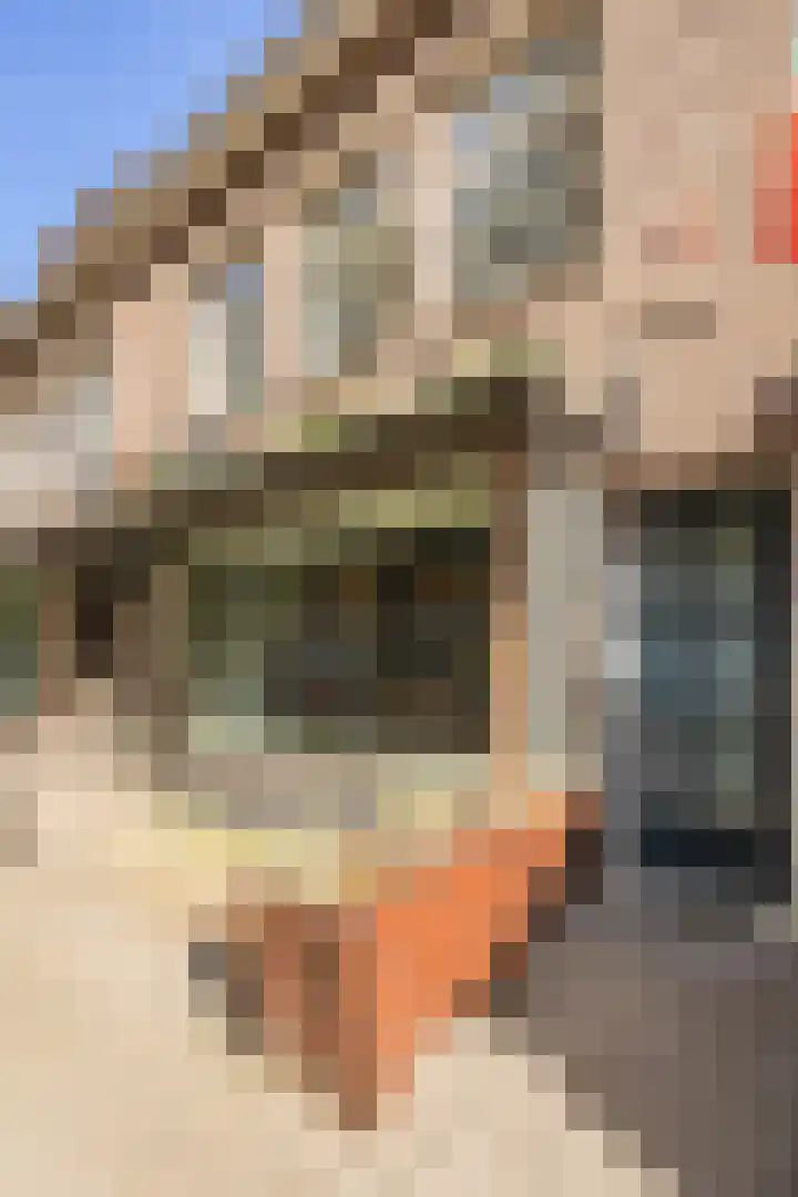 Graafseweg 149 's-Hertogenbosch thumbnail 6