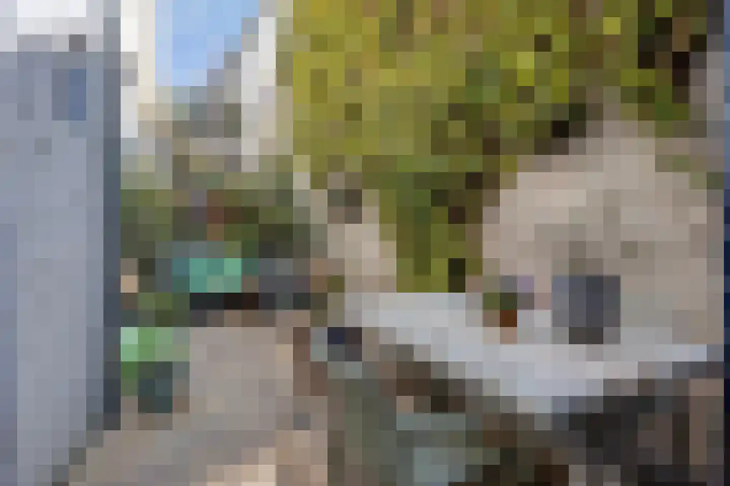 Graafseweg 179 Nijmegen thumbnail 4