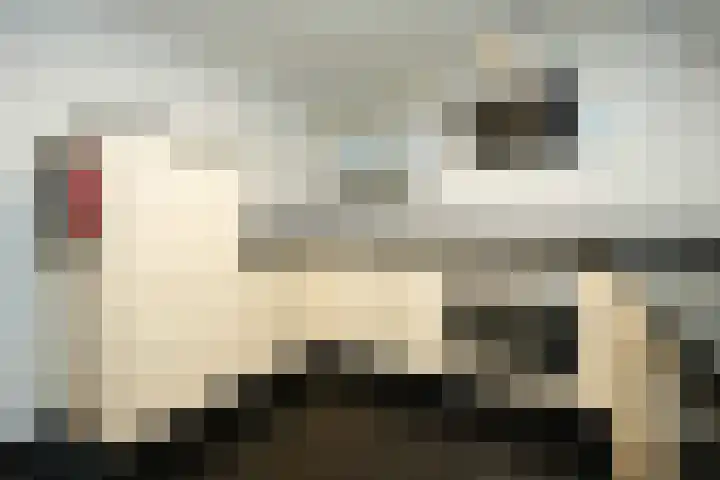 Graafseweg 18 Nijmegen thumbnail 12