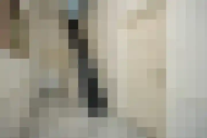 Graafseweg 18 Nijmegen thumbnail 4
