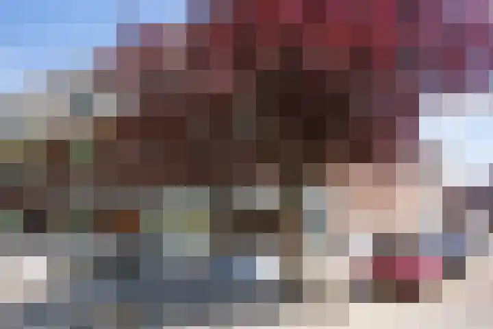 Graafseweg 183 's-Hertogenbosch thumbnail 19