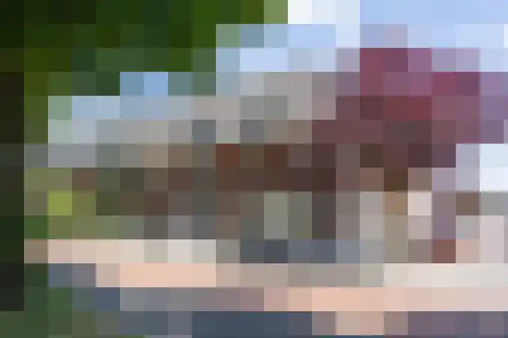 Graafseweg 183 's-Hertogenbosch thumbnail 24