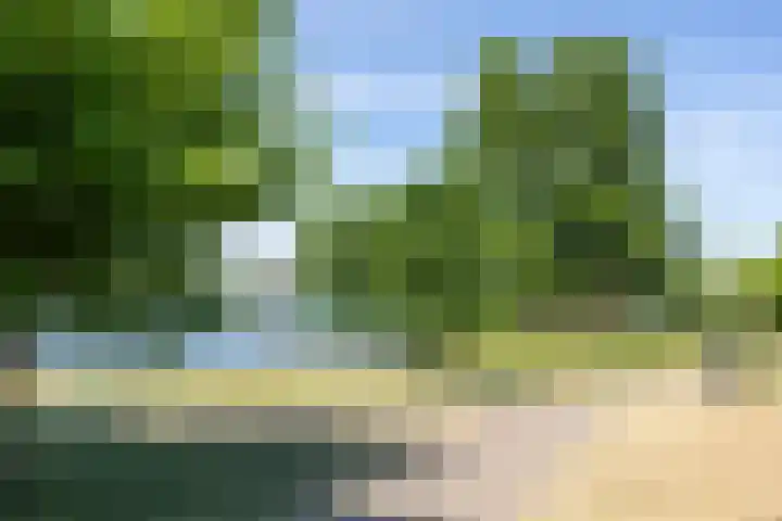 Graafseweg 183 's-Hertogenbosch thumbnail 27
