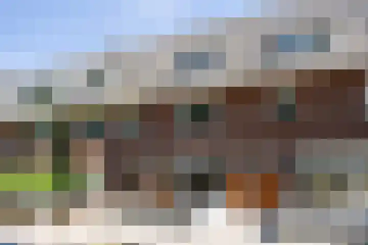 Graafseweg 187 's-Hertogenbosch thumbnail 31