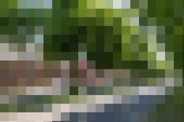 Graafseweg 187 's-Hertogenbosch thumbnail 32