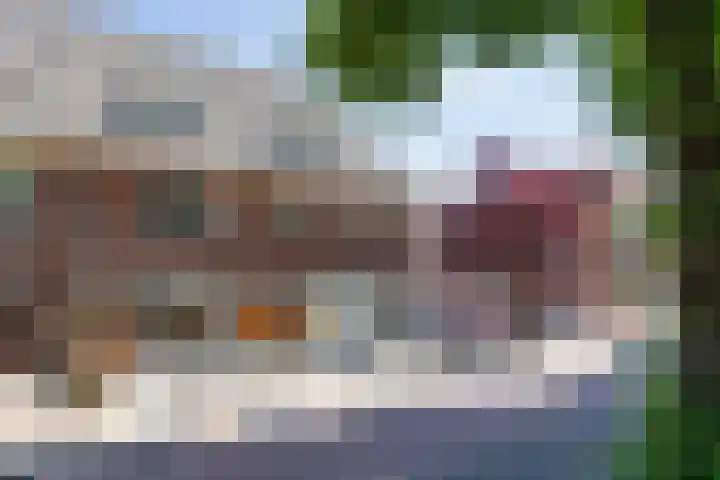 Graafseweg 187 's-Hertogenbosch thumbnail 33