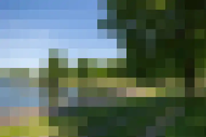 Graafseweg 187 's-Hertogenbosch thumbnail 36
