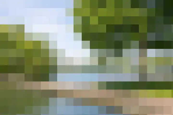 Graafseweg 187 's-Hertogenbosch thumbnail 37