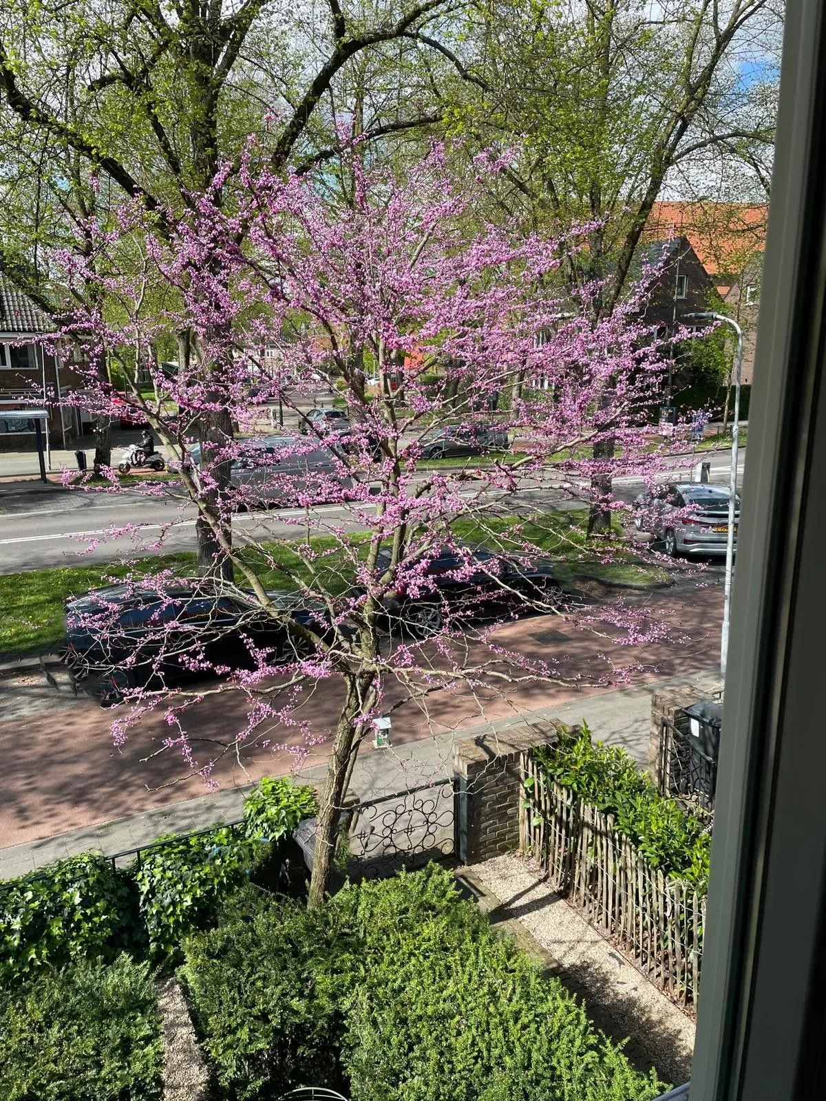 Graafseweg 201 's-Hertogenbosch thumbnail 29