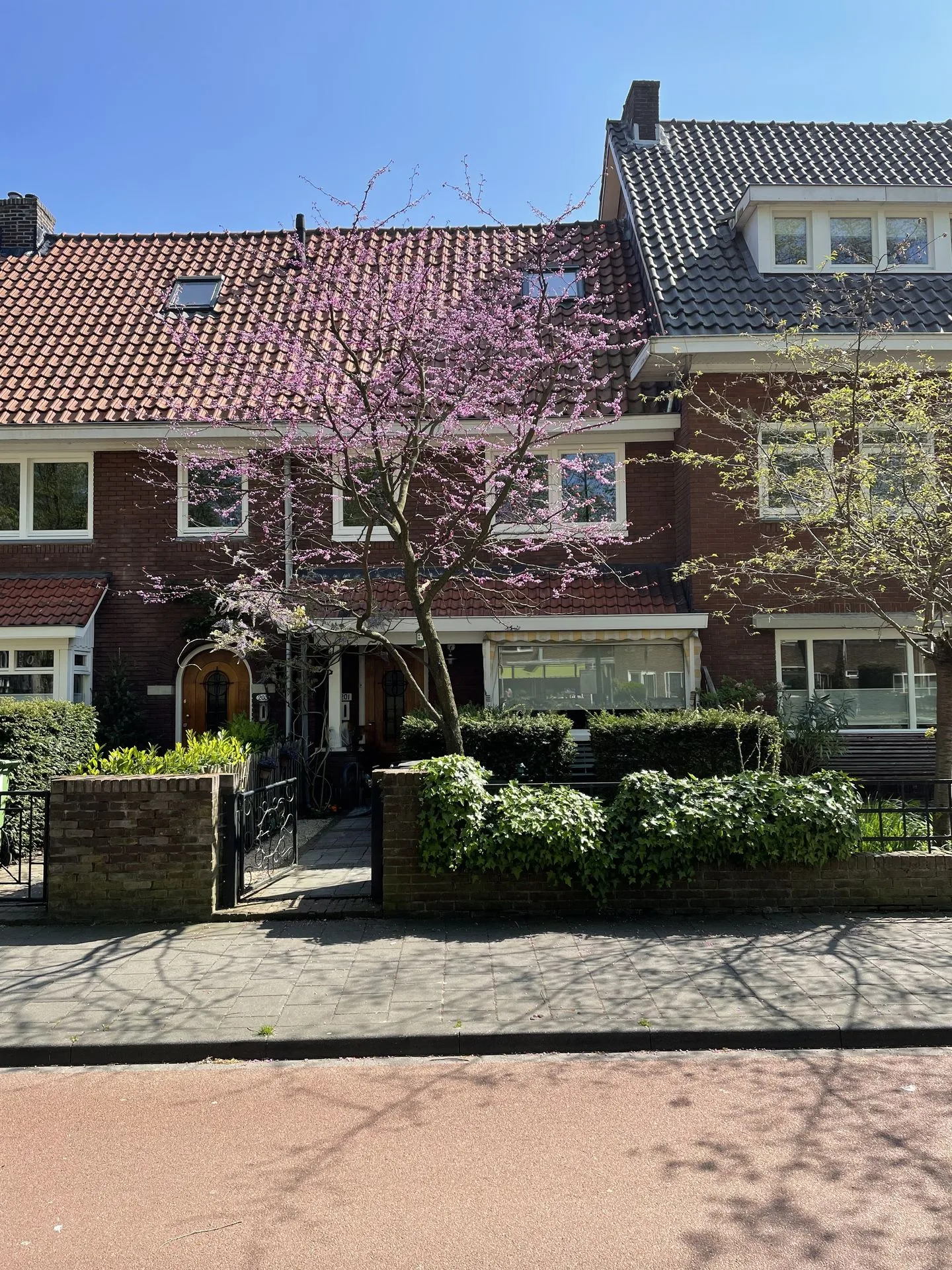 Graafseweg 201 's-Hertogenbosch foto 3