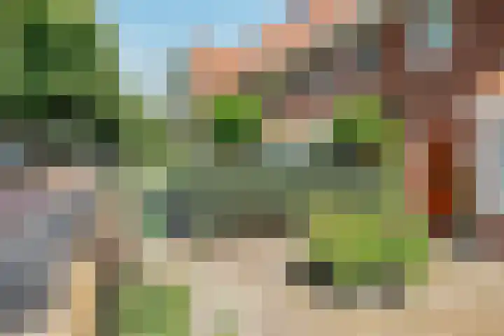 Graafseweg 209 's-Hertogenbosch thumbnail 4