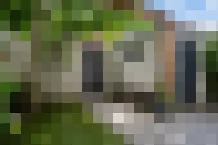 Graafseweg 211 's-Hertogenbosch thumbnail 17