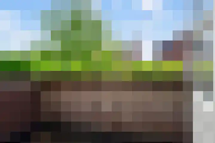 Graafseweg 211 's-Hertogenbosch thumbnail 33