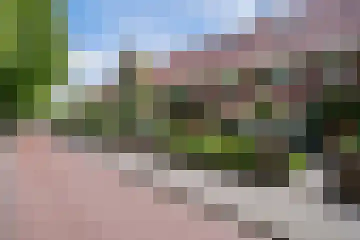 Graafseweg 211 's-Hertogenbosch thumbnail 41