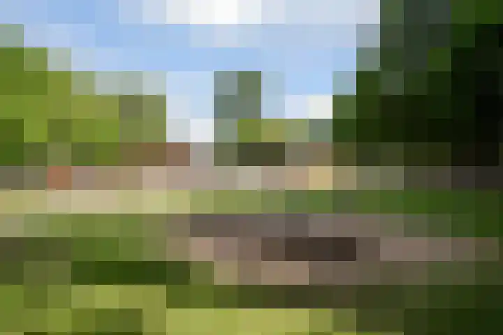 Graafseweg 211 's-Hertogenbosch thumbnail 43