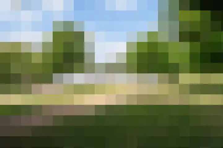 Graafseweg 211 's-Hertogenbosch thumbnail 44