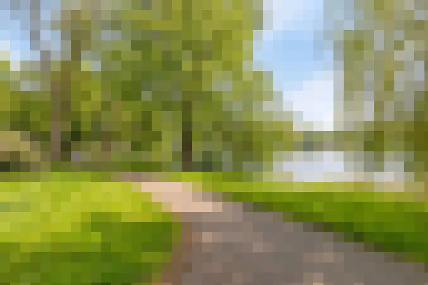 Graafseweg 241 E 's-Hertogenbosch thumbnail 38